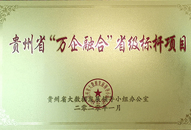 贵州省“万企融合”省级标杆项目